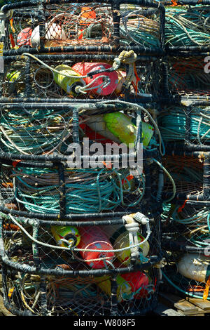 https://l450v.alamy.com/450v/w808f5/crab-trap-floats-and-buoys-pilled-on-a-commercial-fishing-vessel-in-a-marina-in-oregon-usa-w808f5.jpg