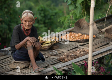 Elderly Konyak Naga woman in traditional dress. Mon district. Nagaland,  North East India, October 2014. Stock Photo
