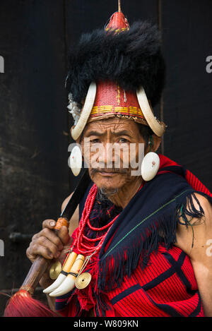 Chang Naga man in festival dress. Tuensang district. Nagaland, North East India, October 2014. Stock Photo