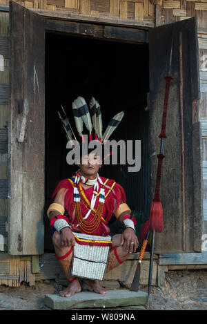 Ao Naga man in festival dress with giant hornbill feathers on headdress, Nagaland, North East India, October 2014. Stock Photo