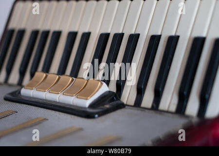 Old antique accordion, black and white keys for playing musical works. Musical instrument, lifestyle musician. Stock Photo