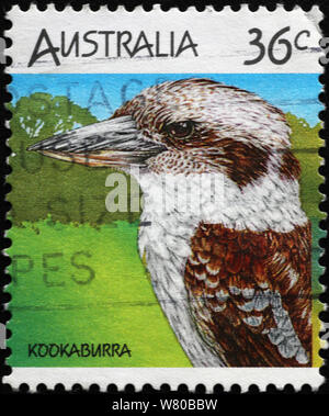 Close-up of kookaburra on australian stamp Stock Photo