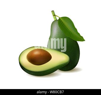 Realistic detailed avocado illustration, isolated on white background with halves and whole avocado. Vector, 3d illustration Stock Vector