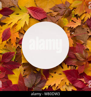 Round white blank space for logo among colorful autumn leaves Stock Photo