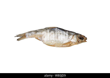 Salted dried fish on a plate top view. isolated on white. Stock Photo