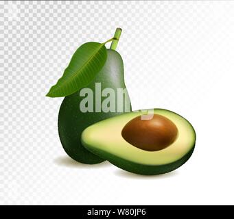 Vector realistic fresh fruit avocado isolated on transparent background. Whole and cut in half avocado with pit. 3D illustraton Stock Vector