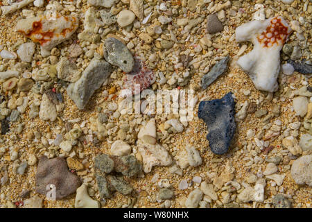 Advertising,Travel, Vacation and Holiday Concept - Broken pieces of sea corals on the beach Stock Photo