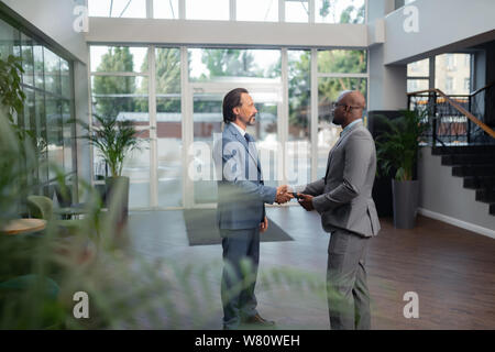 Two businessmen discussing their meeting standing in the office Stock Photo