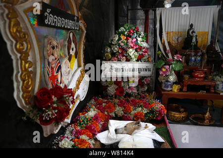 The remains of 12-year-old dog, name is Meji seen on a tray during its Buddhist funeral service at Klong Toey Nai temple in Bangkok.Bereaved pet lovers in Bangkok come to Klong Toey Nai temple to mark the passing of their animal friends with a full Buddhist funeral service which begins with prayers by monks, and around 2-hour cremation. Stock Photo