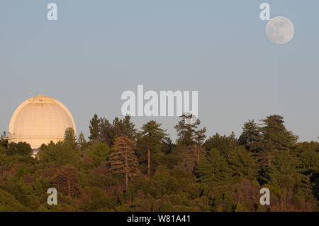 Moon rising at Mount Wilson Observatory in California. Mt Wilson is located on San Gabriel Mountains. Stock Photo