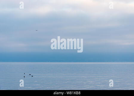 Beautiful tranquil background of misty, cloudy twilight sky over lake Geneva, in Lausanne ,Switzerland with four swan or birds swim on the lake. Stock Photo