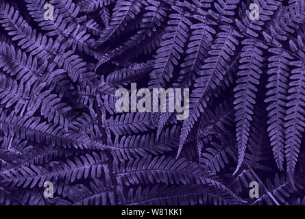 Ultra Violet dark and moody backdrop for your design. Top view. Top view. Copy space. Stock Photo
