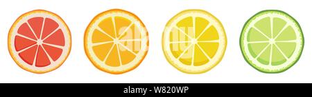 Vitamin C. Set of vector isolated elements. Bright fresh ripe juicy grapefruit orange lemon lime slices isolated on a white background. Template for Stock Vector