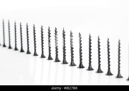 Screws still life large self tapping screws on white background. Stock Photo