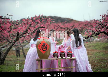 Students dressed in Chinese Han costumes poses on a peach tree at