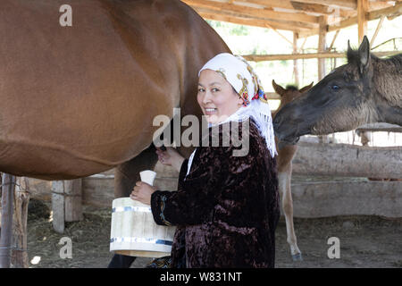 Bishkek, Kyrgyzstan - May 27, 2017 - Woman milks her horse into a wooden bucket Stock Photo