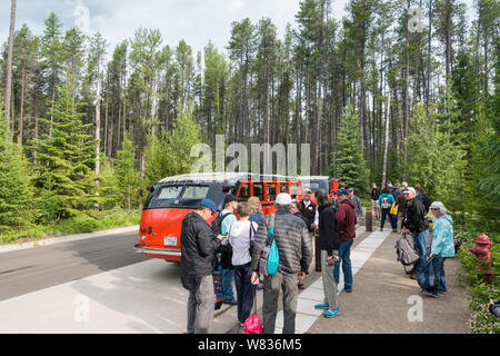 Visitors to the Glacier National Park awaiting the Red Bus Tour at the Apgar visitor center bus stop Stock Photo