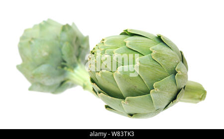 Two artichokes isolated on white Stock Photo