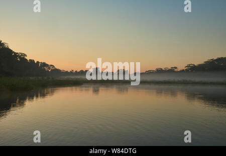 Lake Chimbadas at sunrise, Tambopata National Reserve, Peruvian Amazon Stock Photo