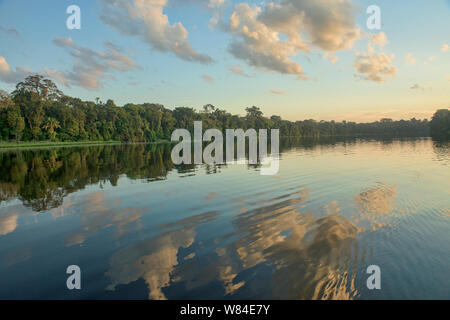 Cloud reflections on gorgeous Lake Chimbadas, Tambopata River, Peruvian Amazon Stock Photo