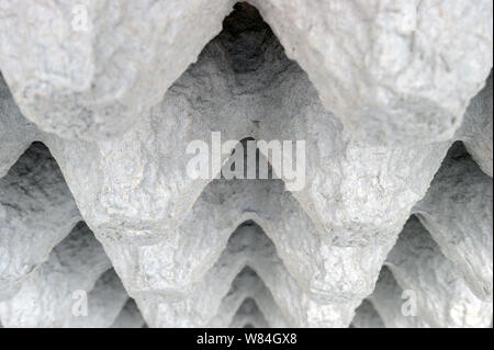 Underside of an Empty Biodegradable Molded Pulp Fiber Egg Carton Tray. Stock Photo