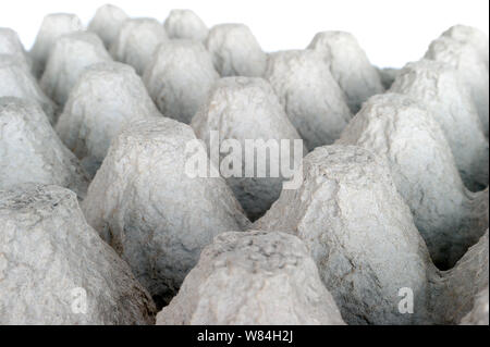 Underside of an Empty Biodegradable Molded Pulp Fiber Egg Carton Tray. Stock Photo