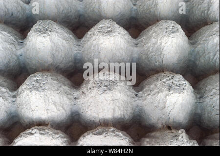 Top-Down View of Underside of an Empty Biodegradable Molded Pulp Fiber Egg Carton Tray. Stock Photo