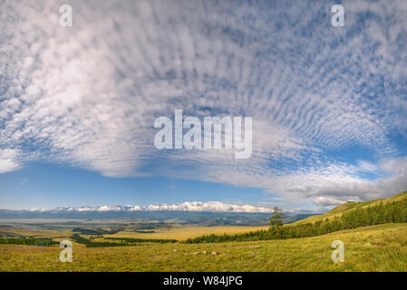 Amazing panorama with beautiful fluffy clouds on a blue sky over snowy mountains, steppe, hills and a meadow with flowers in the foreground. Altai, Ru Stock Photo