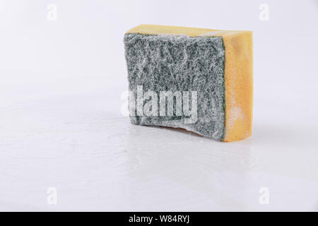 Dish-washing sponge isolate on white background - Cleaning house Stock Photo