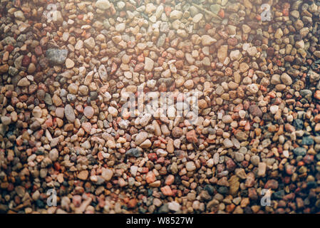 Sea pebbles texture. Background of littele stones. Sea shore Stock Photo