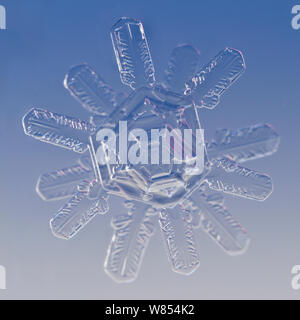 Snowflake magnified under microscope, Lilehammer, Norway