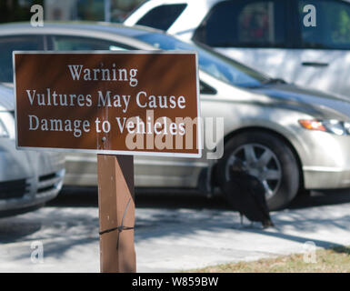 Vultures Might Damage Cars Warning Sign in Everglades Stock Photo - Alamy