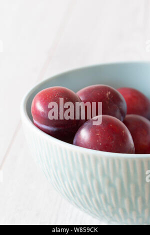 British organic plums, freshly picked, in a pastel green bowl dish. Grey wood background Stock Photo