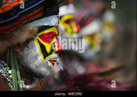 Member of Sing-sing group from Tambul, Western Highlands at Mount Hagen Show, Papua New Guinea, August 2011 Stock Photo