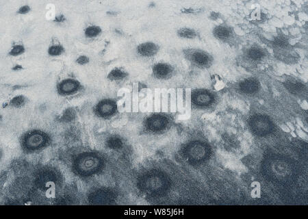 Abstract of circular patterns in sand. Hvalvika, Moskenes, Lofoten, Nordland, Norway. January 2014. Stock Photo