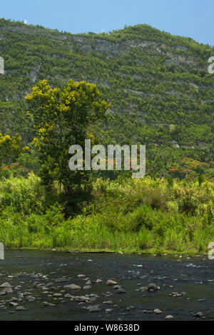 Rio Grande de Arecibo Stock Photo - Alamy