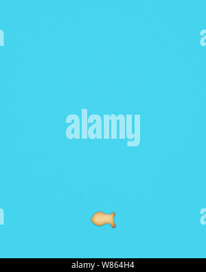 Sign . Dot from cookies in the shape of fish on a blue background Stock Photo