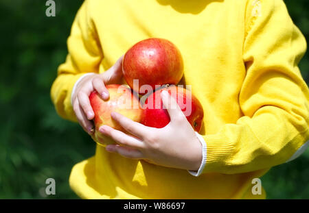boy holding apples in the open air in the forest. Stock Photo