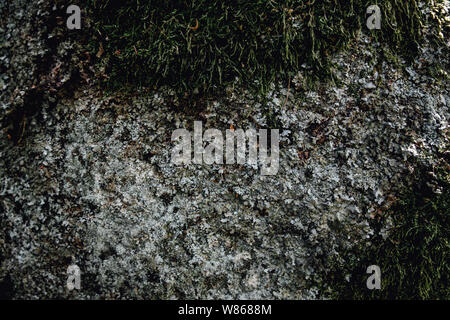 Old gray stone wall with green moss texture background with light and shadow drawing on it Stock Photo