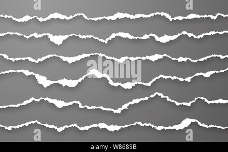 Torn paper edge. Ripped squared paper strips. Vector illustration. Stock Vector