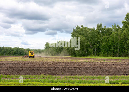 A yellow agricultural machine or combine harvester preparing land with seedbed cultivator as part of pre seeding activities. cultivating field Stock Photo