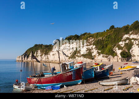 Fishing boats sit on the beach at Beer in South Devon, England on a summer morning with calm see and blue sky. Beer is a delightful Devon village. Stock Photo