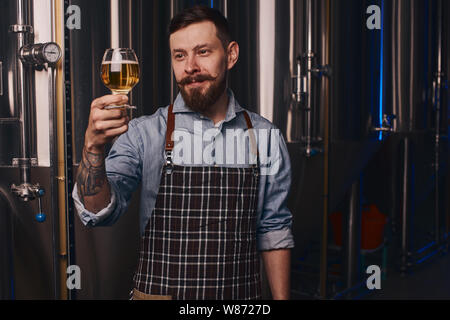 Man working in the brewery seriously looks at the glass full of beer. Stock Photo