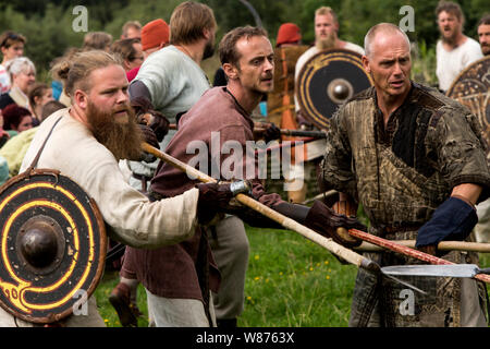 Viking warriors are fighting on the battlefield at Ribe Viking Centre ...