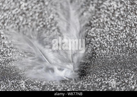 Gentle magical silver background with white feather. Macro photo Stock Photo