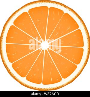 Vector illustration. Orange fruit slice in realistic style. Isolated on white. Stock Vector