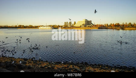 Lake scenery with many birds at sunset in Vyborg, Russia. Vyborg is 174km northwest of St Petersburg and just 30km from the Finnish border. Stock Photo