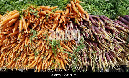 Big pile of fresh organic carrots at a summer farmers market Stock Photo
