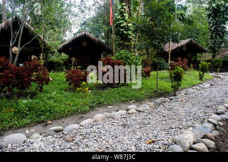 Sights at Nameri National Park Stock Photo