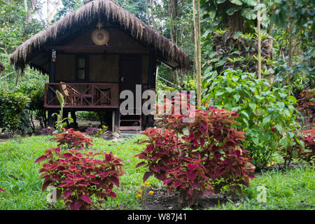 Sights at Nameri National Park Stock Photo